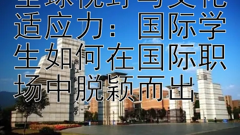 全球视野与文化适应力：国际学生如何在国际职场中脱颖而出